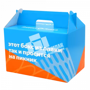 Коробка яндекс-лавка для пикника 300х200х200 мм